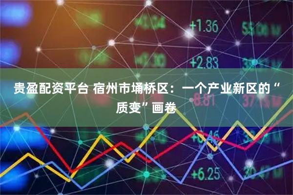贵盈配资平台 宿州市埇桥区：一个产业新区的“质变”画卷