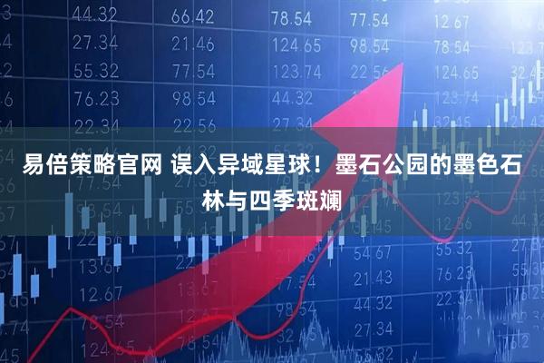 易倍策略官网 误入异域星球！墨石公园的墨色石林与四季斑斓