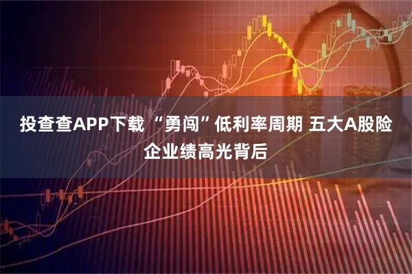 投查查APP下载 “勇闯”低利率周期 五大A股险企业绩高光背后