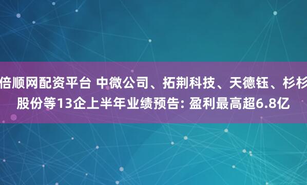 倍顺网配资平台 中微公司、拓荆科技、天德钰、杉杉股份等13企上半年业绩预告: 盈利最高超6.8亿